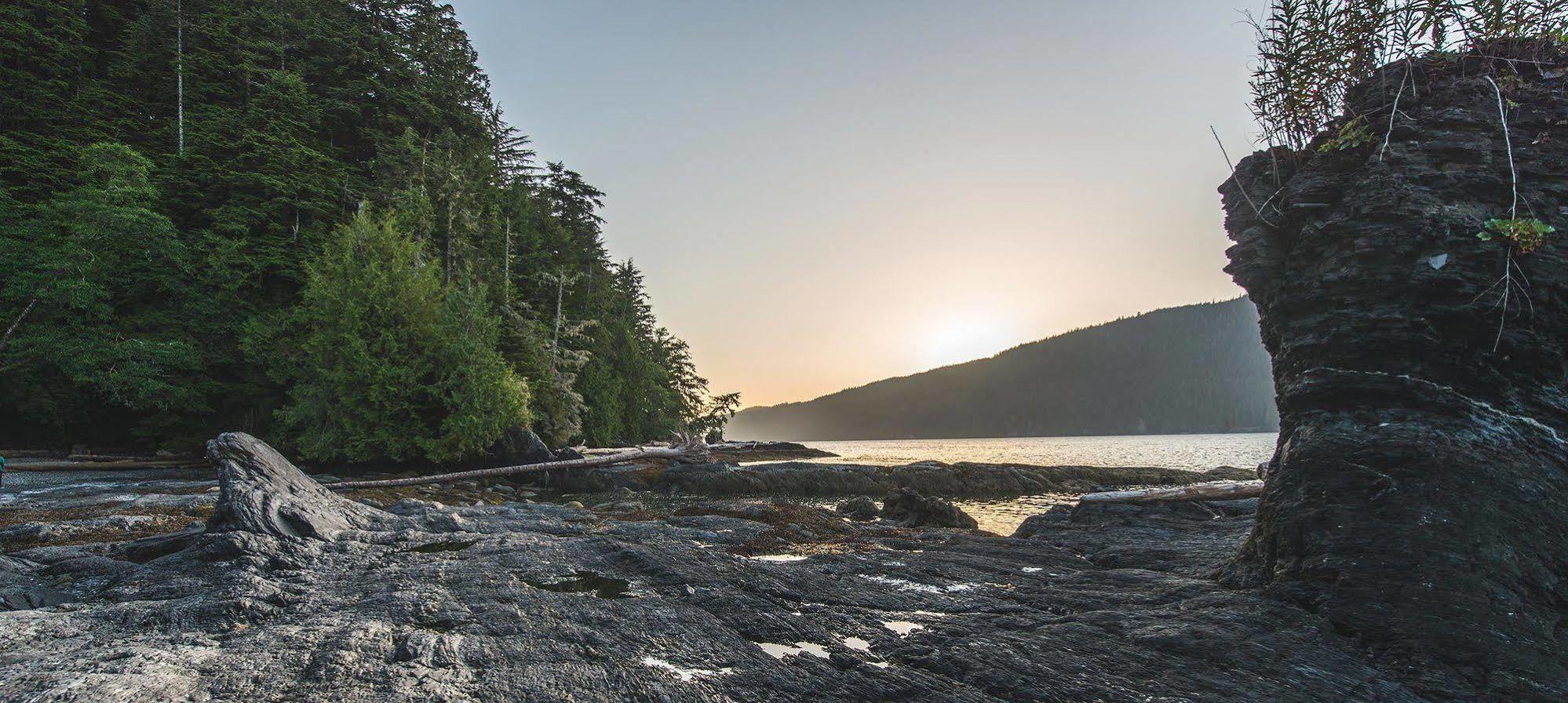 Wild Renfrew Seaside Cottages Port Renfrew Exterior photo